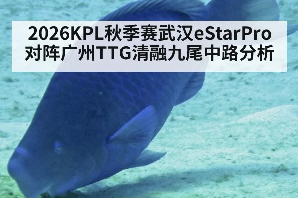 2026KPL秋季赛武汉eStarPro对阵广州TTG清融九尾中路分析